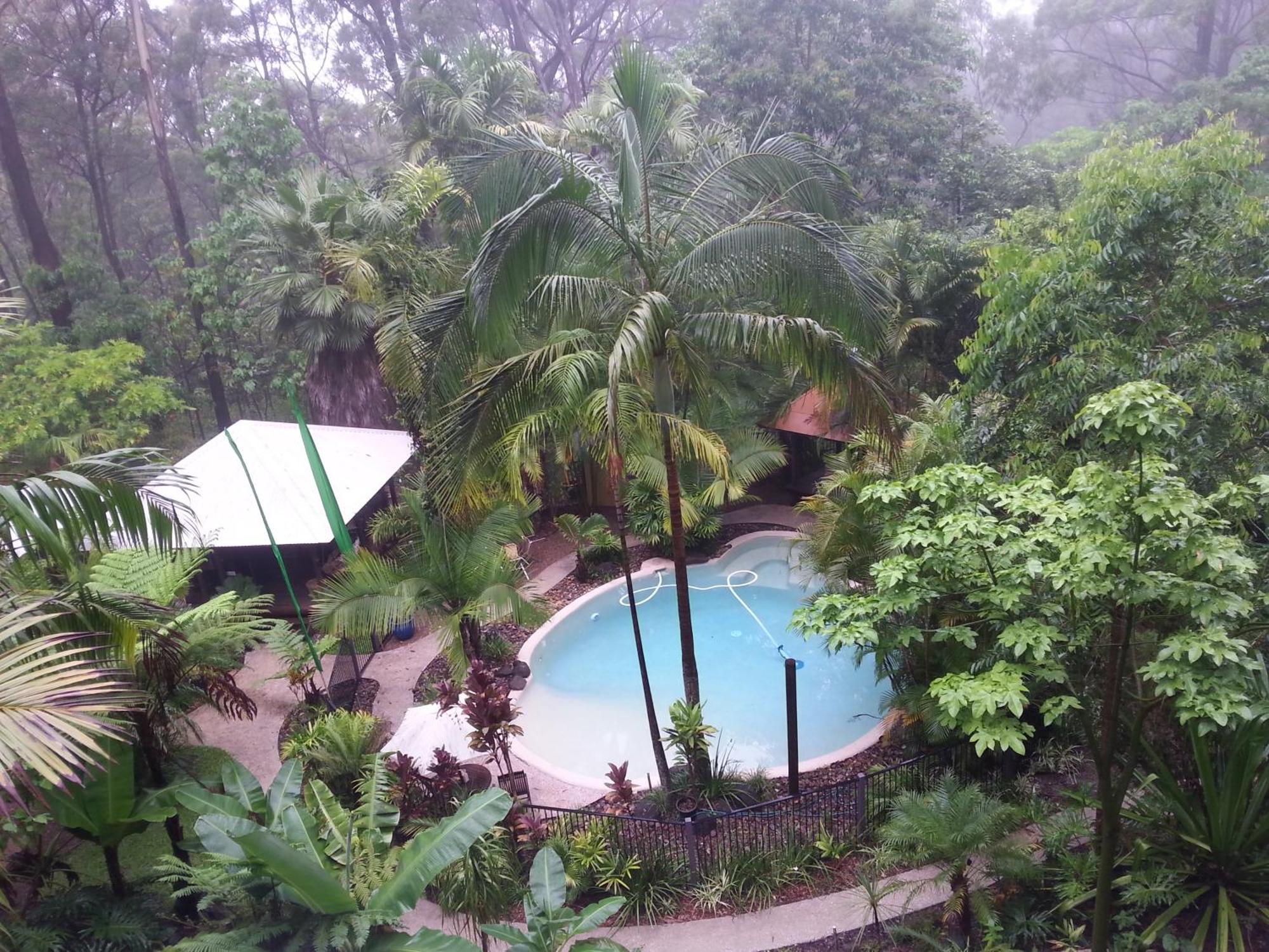 Alaya Escape Bed and Breakfast Eudlo Rum bild