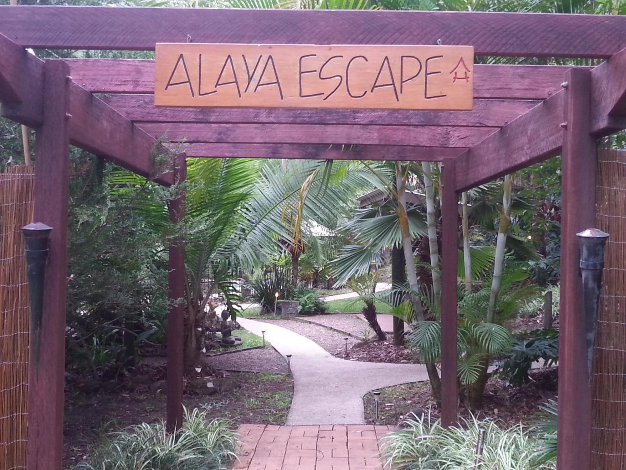 Alaya Escape Bed and Breakfast Eudlo Exteriör bild